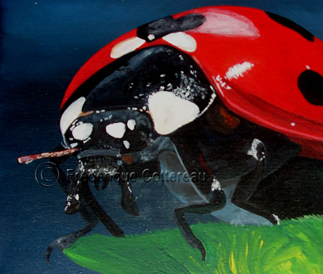 occinelle insecte rouge noir vert artiste art peinture acrylique