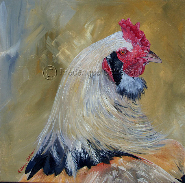 Coq faverolle à tete de Hibou volaille poule coq oiseau ferme art peinture portrait