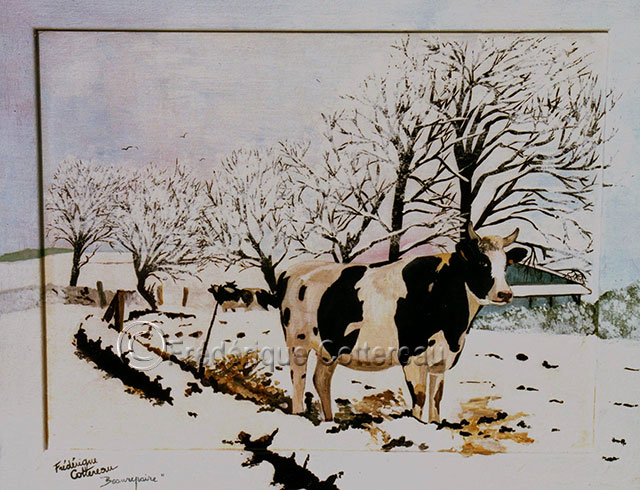 vache dans la neige mammifere mammiferes vache bovin nature neige hiver beau-regar-pleine-fougeres Pleine-Fougeres ille-et-vilaine bretagne